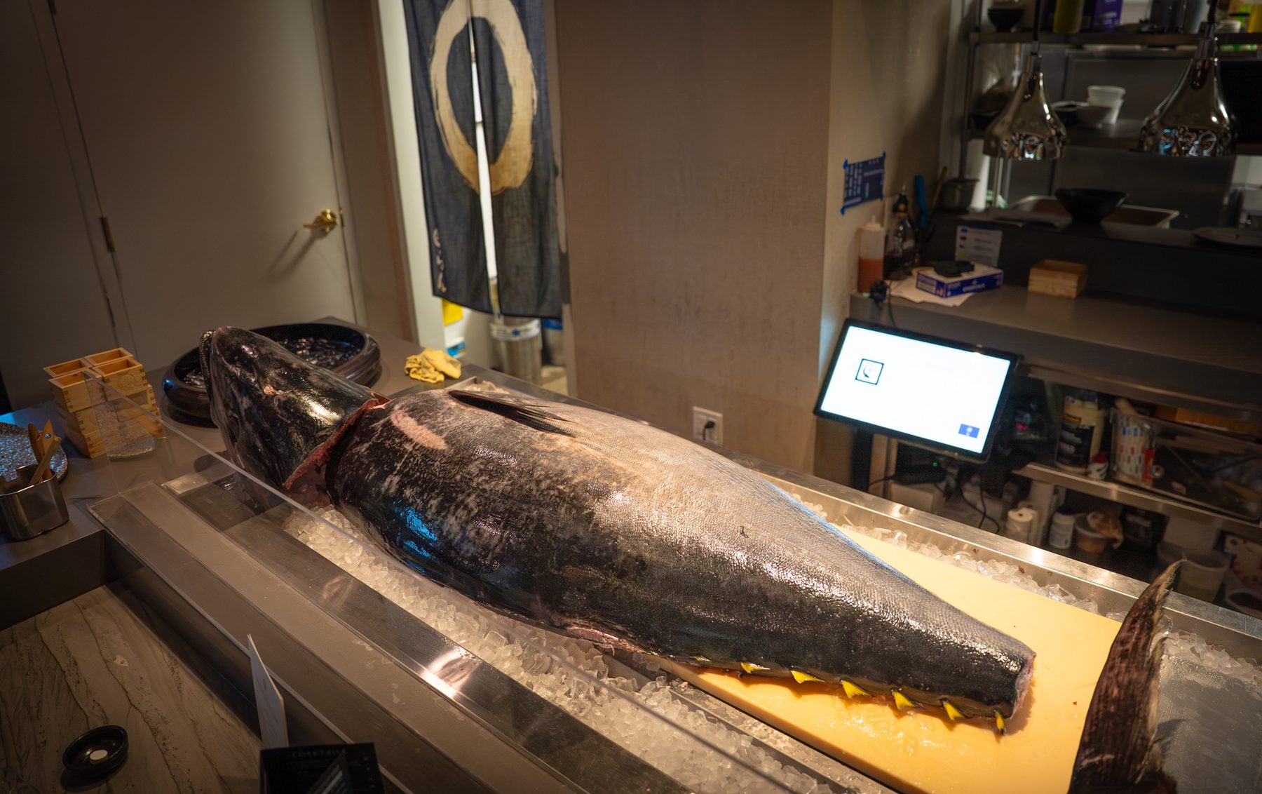 Whole bluefin